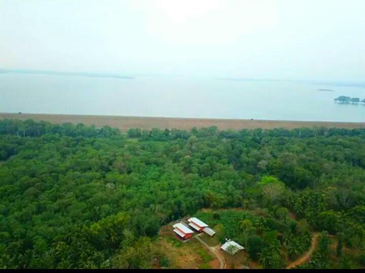 Nil Bawana Nature Resort ウダワラウェ エクステリア 写真