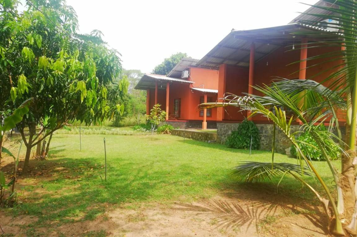 Nil Bawana Nature Resort ウダワラウェ エクステリア 写真