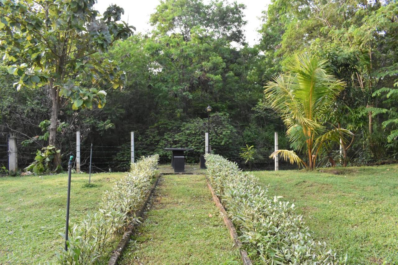 Nil Bawana Nature Resort ウダワラウェ エクステリア 写真