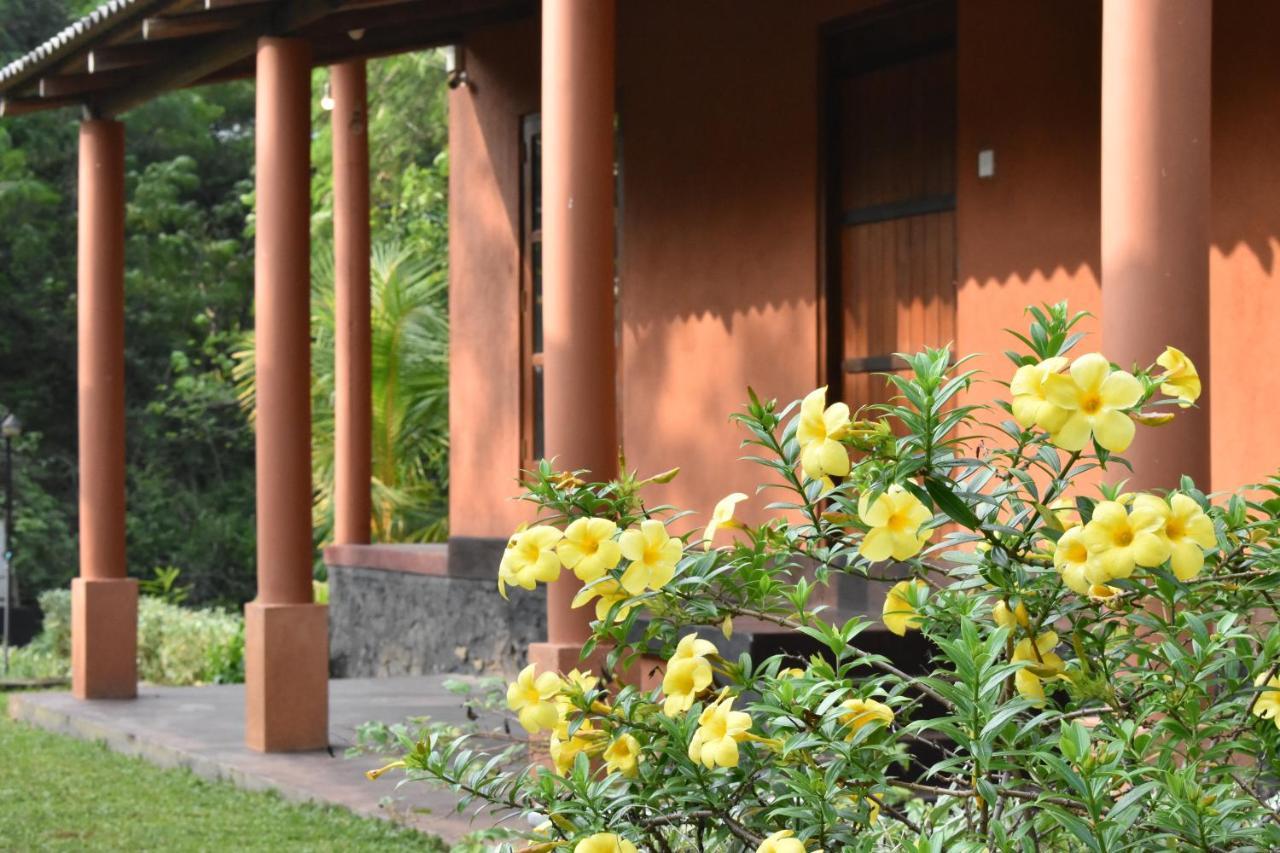 Nil Bawana Nature Resort ウダワラウェ エクステリア 写真